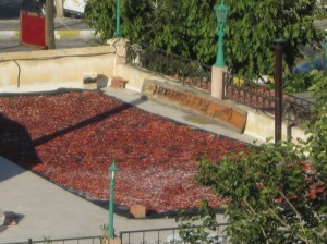 Making sun-dried tomatoes