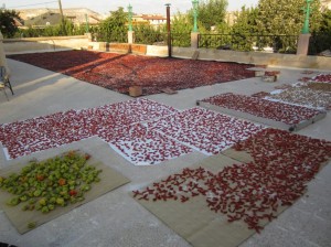 Making dried vegetables