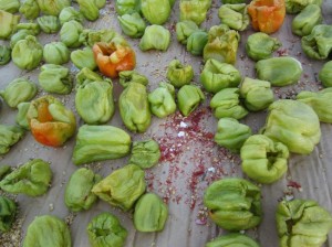 Making dried vegetables