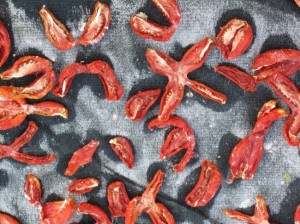 Making sun-dried tomatoes