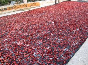 Making sun-dried tomatoes